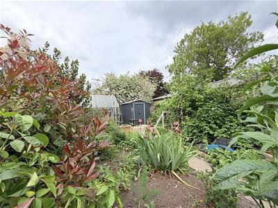 Picture 17